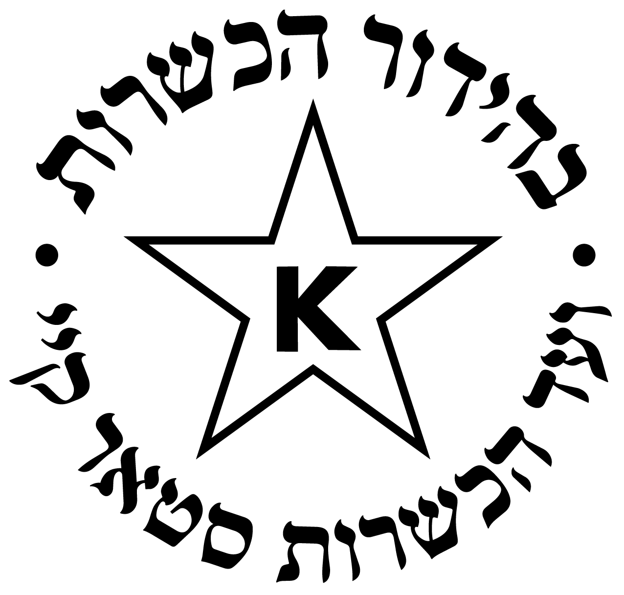 star k - partner logo